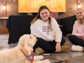 Two students sit with a fluffy golden therapy dog in Cromer Center